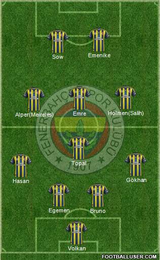 Fenerbahçe SK Formation 2013