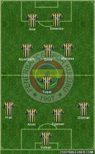 Fenerbahçe SK Formation 2013