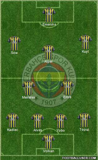 Fenerbahçe SK Formation 2013