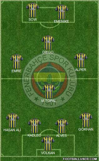 Fenerbahçe SK Formation 2013