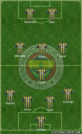 Fenerbahçe SK Formation 2013