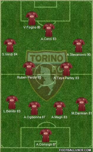 Torino Formation 2013