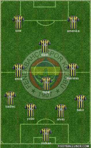 Fenerbahçe SK Formation 2013