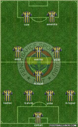 Fenerbahçe SK Formation 2013