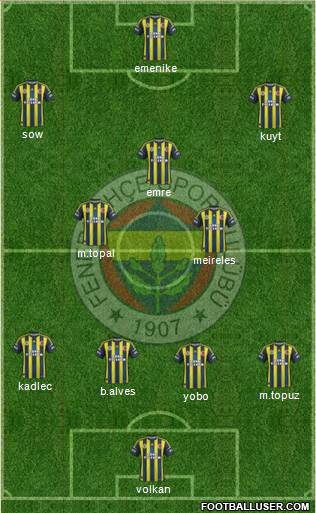 Fenerbahçe SK Formation 2013