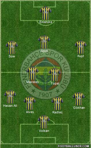 Fenerbahçe SK Formation 2013