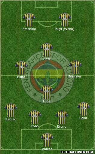 Fenerbahçe SK Formation 2013