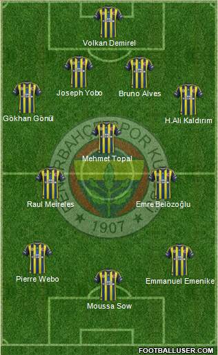 Fenerbahçe SK Formation 2013