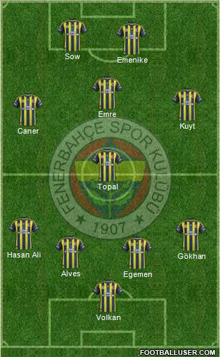 Fenerbahçe SK Formation 2013