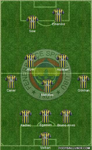 Fenerbahçe SK Formation 2013