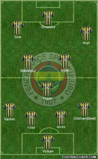 Fenerbahçe SK Formation 2013