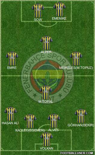 Fenerbahçe SK Formation 2013