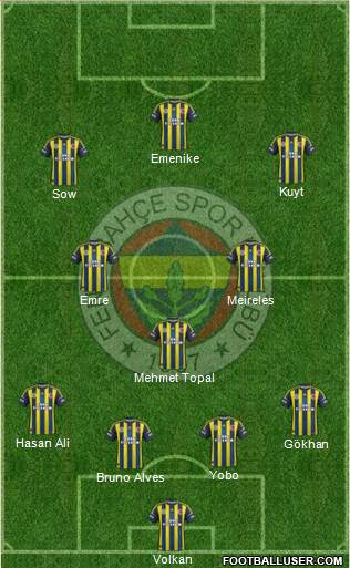 Fenerbahçe SK Formation 2013