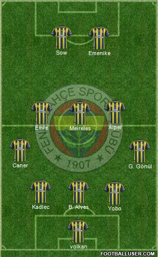 Fenerbahçe SK Formation 2013