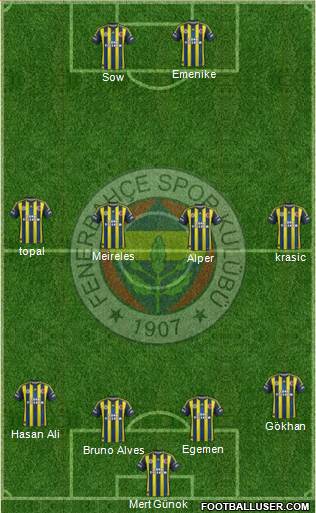 Fenerbahçe SK Formation 2013