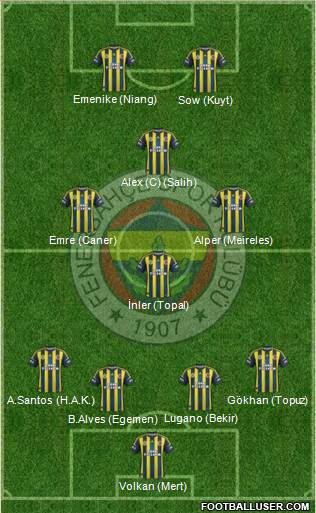 Fenerbahçe SK Formation 2013