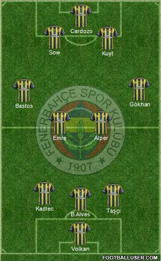 Fenerbahçe SK Formation 2013