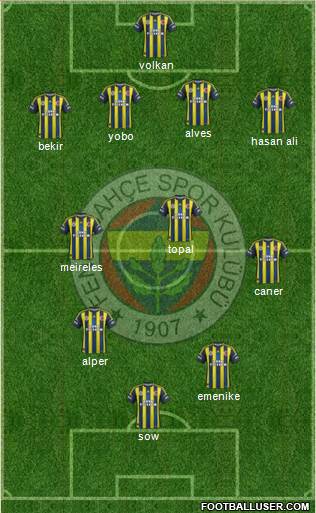 Fenerbahçe SK Formation 2013