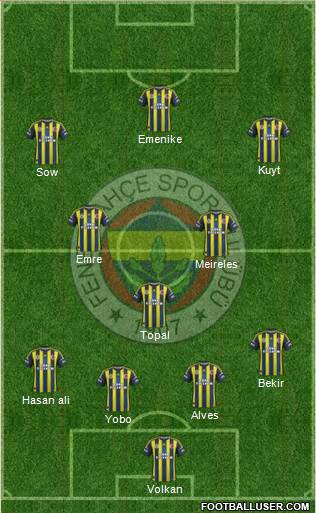 Fenerbahçe SK Formation 2013