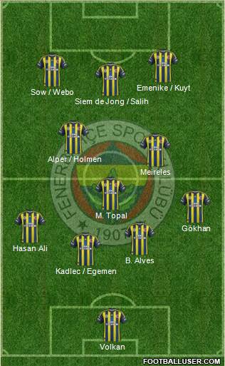 Fenerbahçe SK Formation 2013