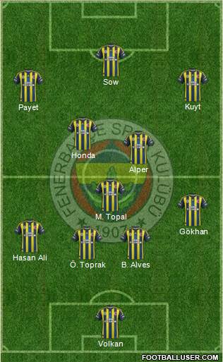 Fenerbahçe SK Formation 2013