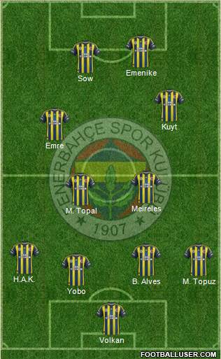 Fenerbahçe SK Formation 2013