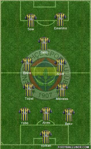 Fenerbahçe SK Formation 2013