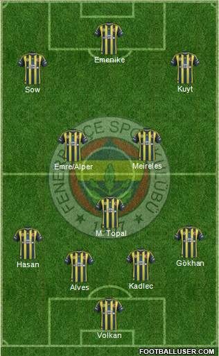 Fenerbahçe SK Formation 2013