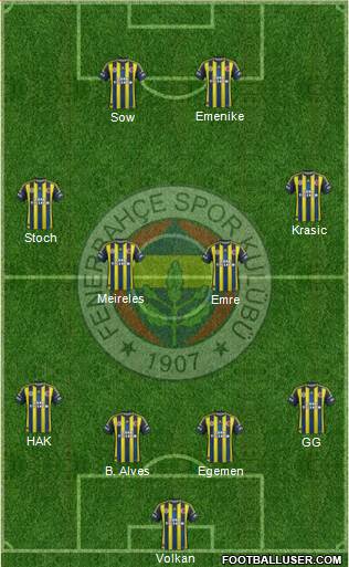 Fenerbahçe SK Formation 2013