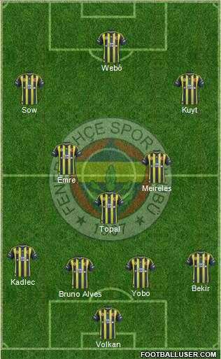 Fenerbahçe SK Formation 2013