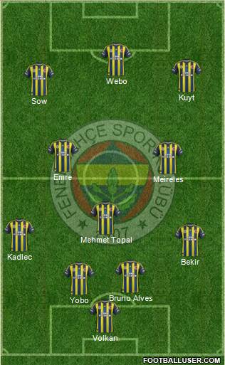 Fenerbahçe SK Formation 2013