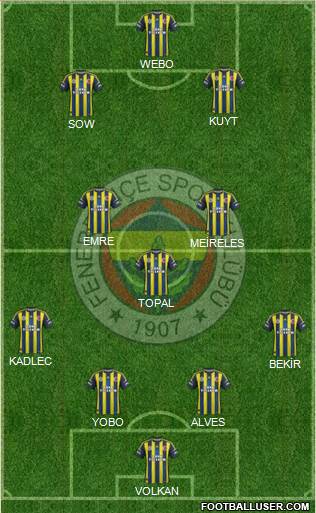 Fenerbahçe SK Formation 2013