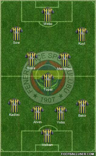 Fenerbahçe SK Formation 2013