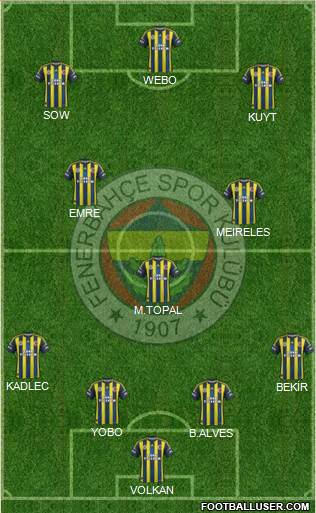 Fenerbahçe SK Formation 2013