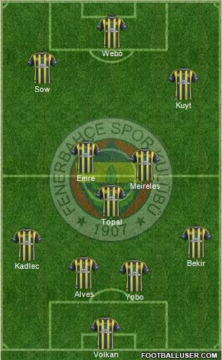 Fenerbahçe SK Formation 2013