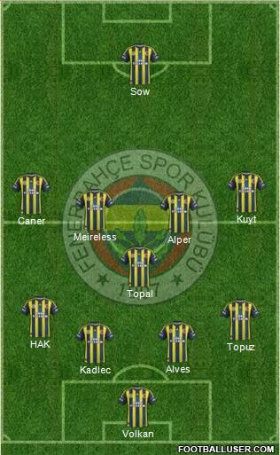 Fenerbahçe SK Formation 2013