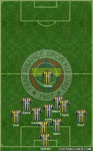 Fenerbahçe SK Formation 2013