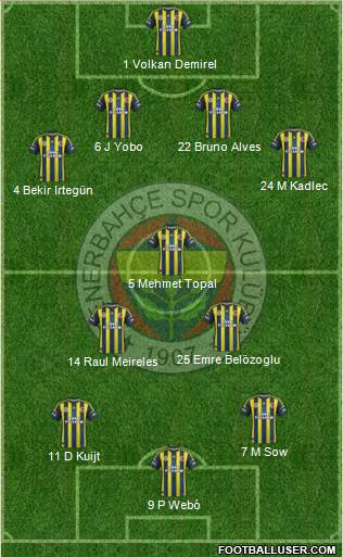 Fenerbahçe SK Formation 2013