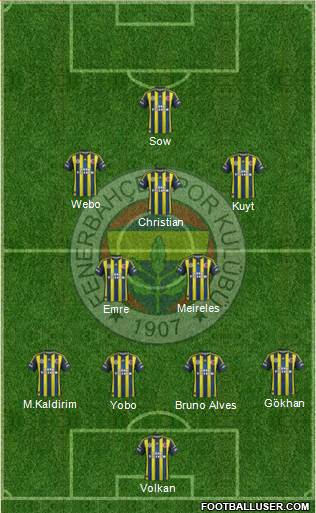 Fenerbahçe SK Formation 2013