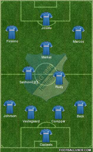 TSG 1899 Hoffenheim Formation 2013