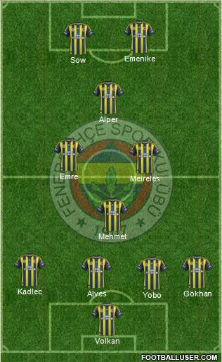 Fenerbahçe SK Formation 2013