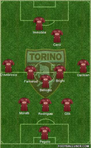 Torino Formation 2013