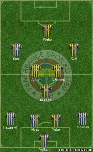 Fenerbahçe SK Formation 2013