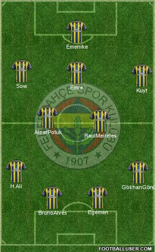 Fenerbahçe SK Formation 2013