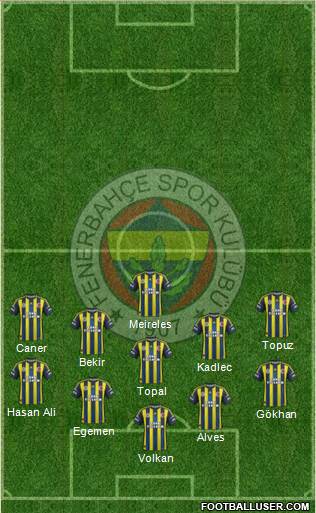 Fenerbahçe SK Formation 2013