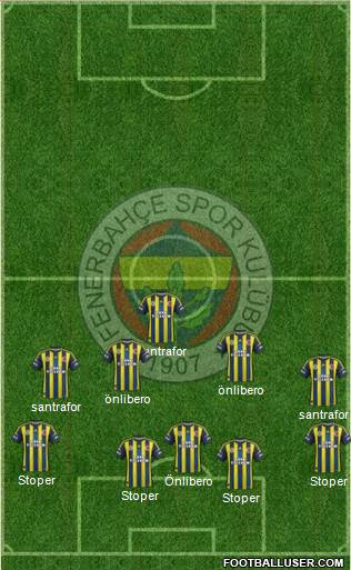 Fenerbahçe SK Formation 2013