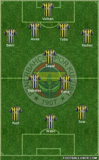 Fenerbahçe SK Formation 2013