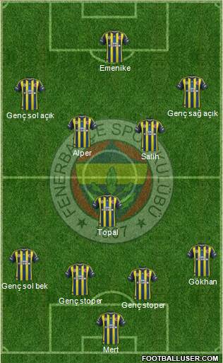 Fenerbahçe SK Formation 2013