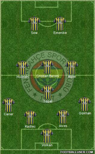 Fenerbahçe SK Formation 2013