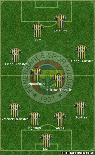 Fenerbahçe SK Formation 2013